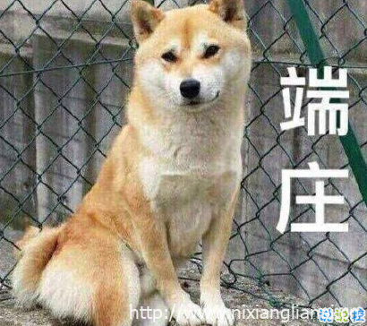 第一次追女生怎么聊天不尴尬 第一次聊天说些什么话题好9